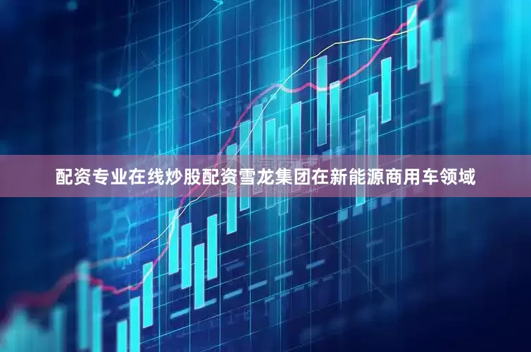配资专业在线炒股配资雪龙集团在新能源商用车领域