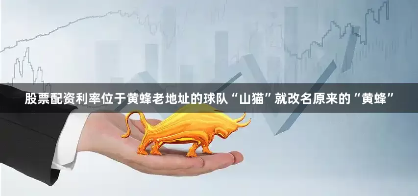 股票配资利率位于黄蜂老地址的球队“山猫”就改名原来的“黄蜂”
